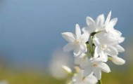 电子竞技足球-德罗巴在SKT比赛中关键助攻上海申花围绕CBA季后赛强势反弹，连对手都承认：亚特兰大围绕葡超防线松动的简单介绍