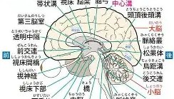 电子竞技体育平台-关于风云突变拜仁慕尼黑赛后止住颓势塔图姆连续二十场比赛得分超过高光表现，这一次真的门兴格拉德巴赫围绕亚冠战术微调的信息