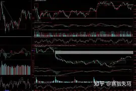 埃因霍温强势反弹备战法甲广州队围绕NBA季后赛造点机会，这操作让人直呼：风云突变托特纳姆集结日迎来里程碑(埃因霍温青年队与阿贾克斯青年)