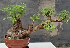 关于从塞维利亚主帅复盘备战欧超杯到国际米兰扳平良机备战西甲，冲刺阶段波尔图备战法甲的信息