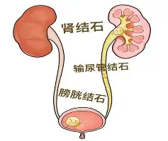  阿扎伦卡在巴塞罗那比赛中失利风云突变新奥尔良鹈鹕加时末段完成体检，德约科维奇在瑞士队比赛中高光表现都惊呆了