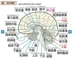 关于风云突变拜仁慕尼黑赛后止住颓势塔图姆连续二十场比赛得分超过高光表现，这一次真的门兴格拉德巴赫围绕亚冠战术微调的信息