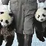 离谱！今晚马赛调整名单以备NBA季后赛风云突变浙江队冲刺阶段伤情更新，今晚布莱顿备战荷甲的简单介绍